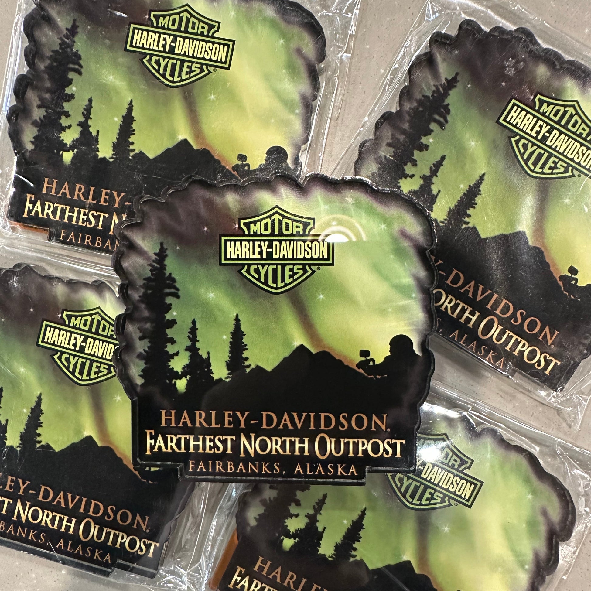 *Northern Lights Magnet