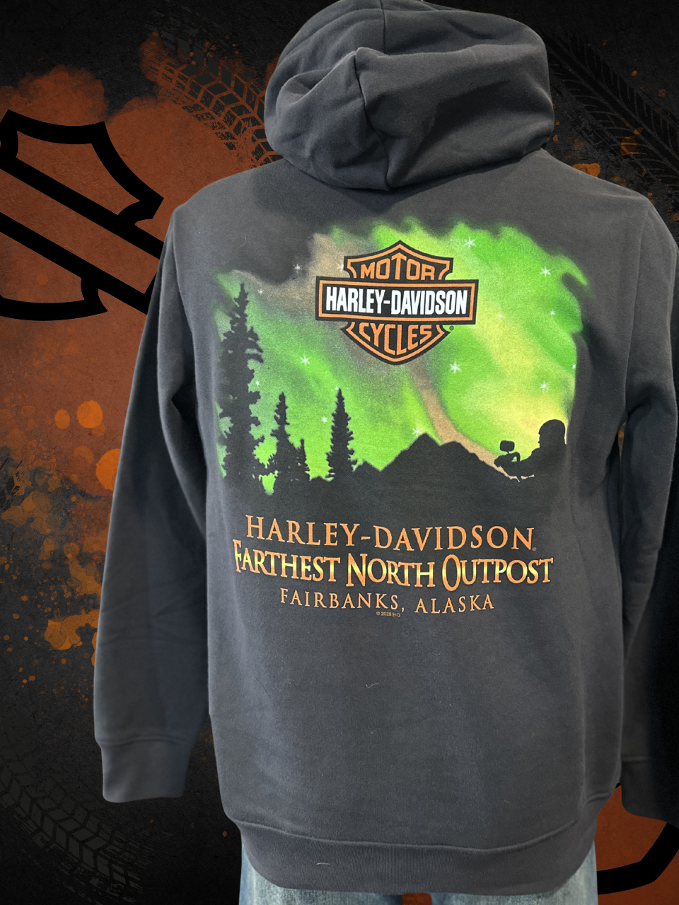 Northern Lights Men's Hoodie
