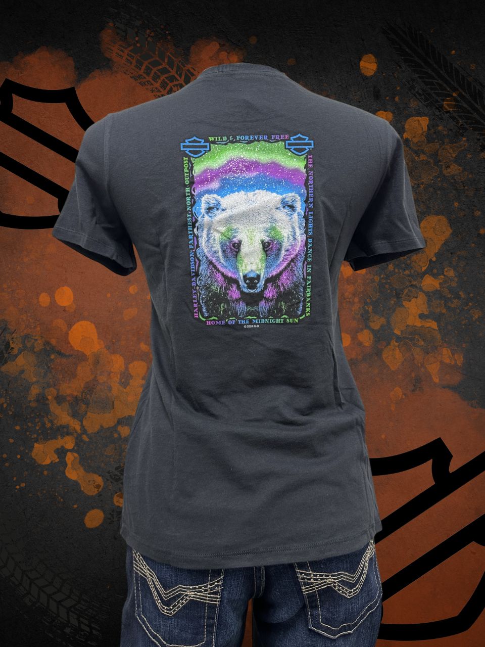 Northern Lights Bear - Short Sleeve