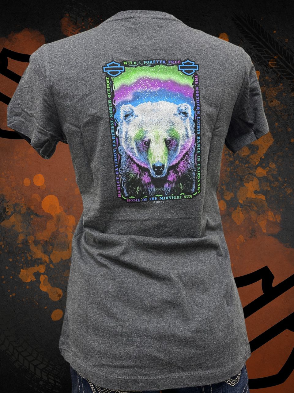 Northern Lights Bear - Short Sleeve