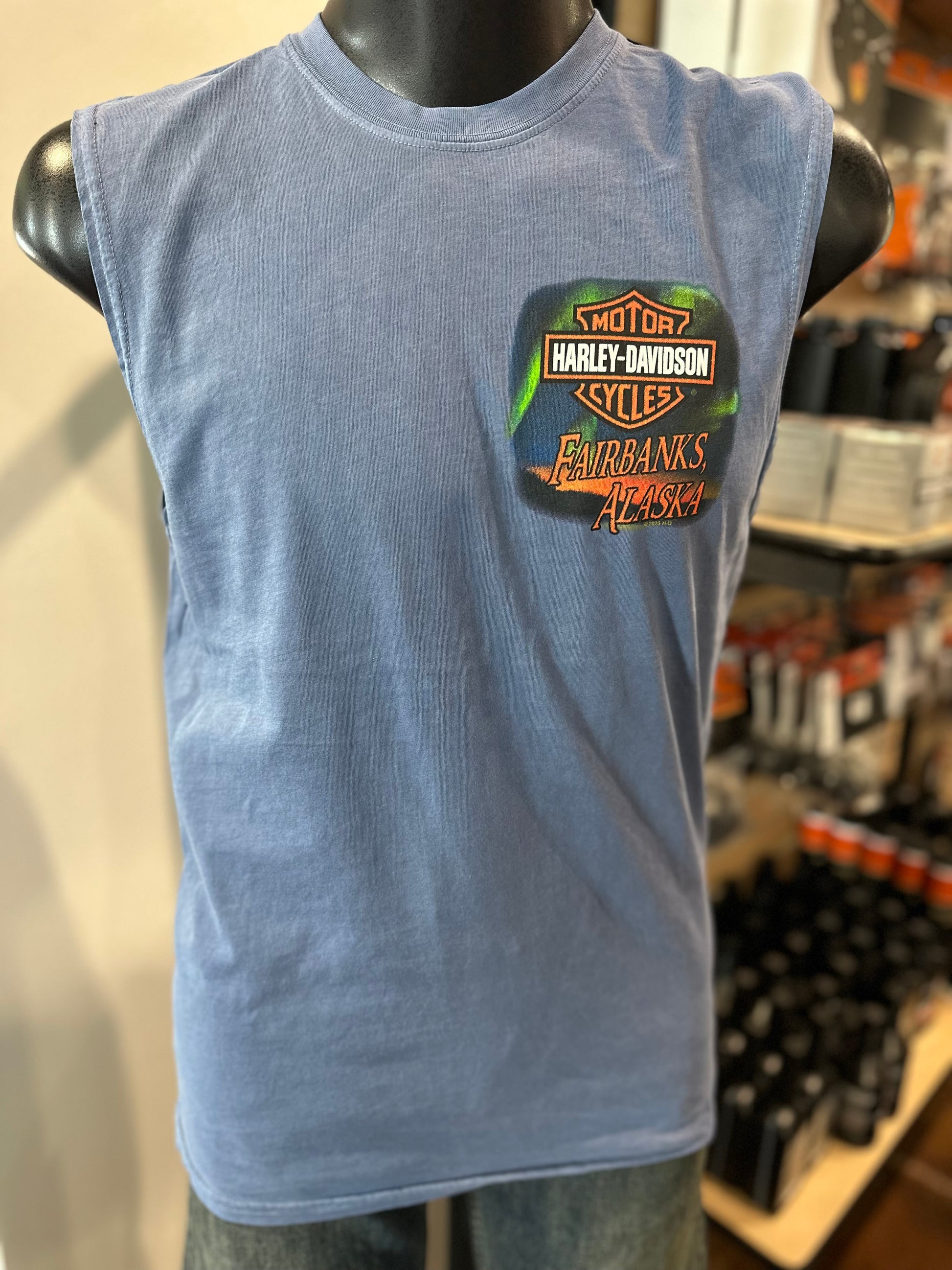 Northern Lights Mens Sleeveless Blue