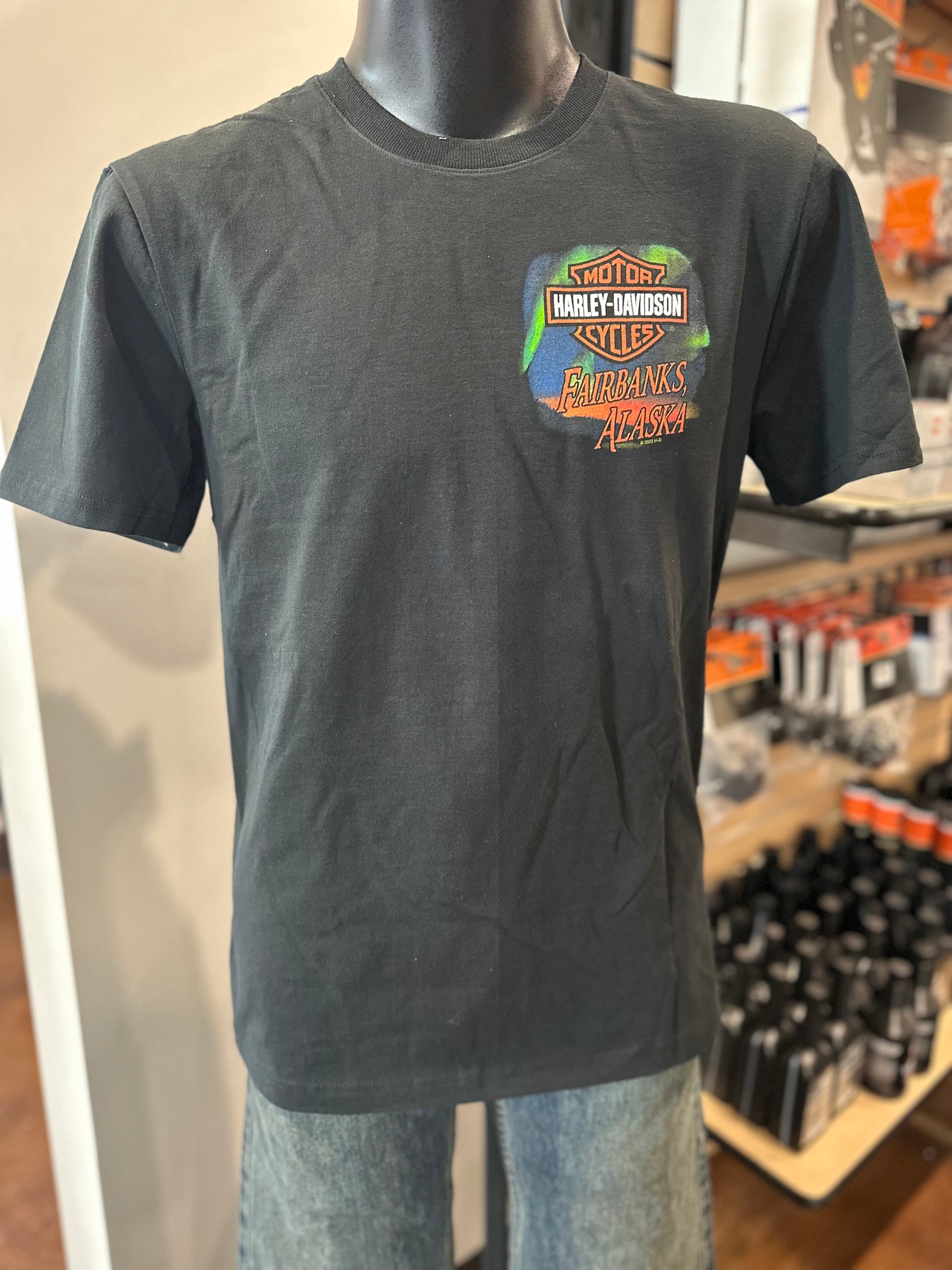Northern Lights Mens Short Sleeve