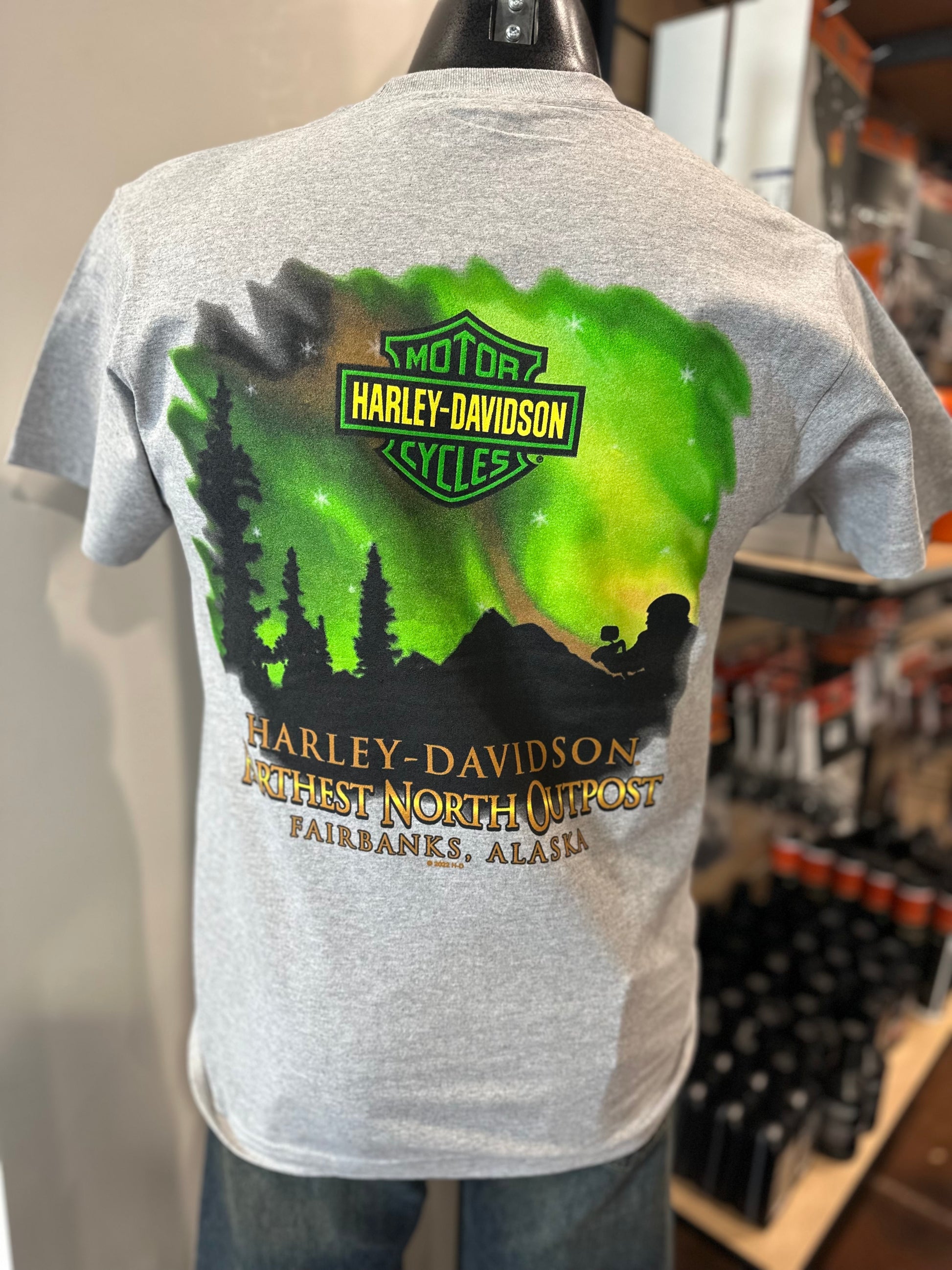 Northern Lights Mens Short Sleeve