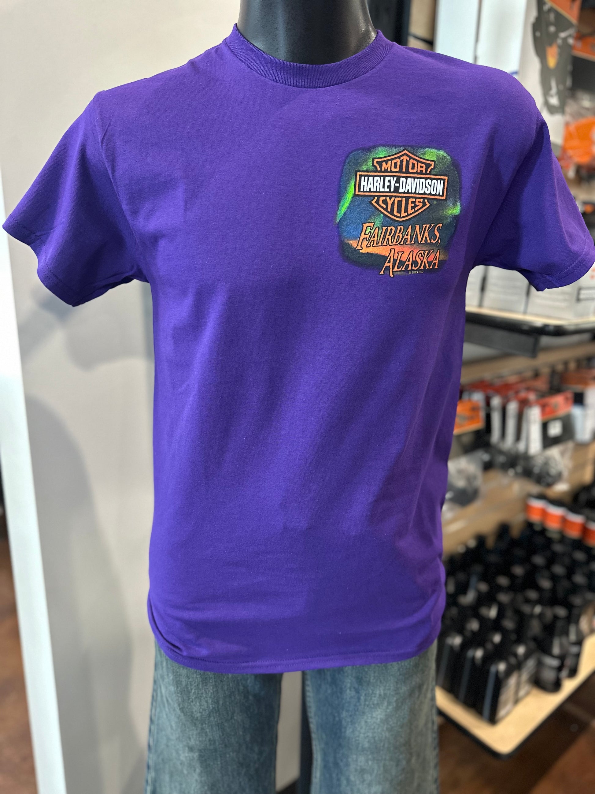 Northern Lights Mens Short Sleeve