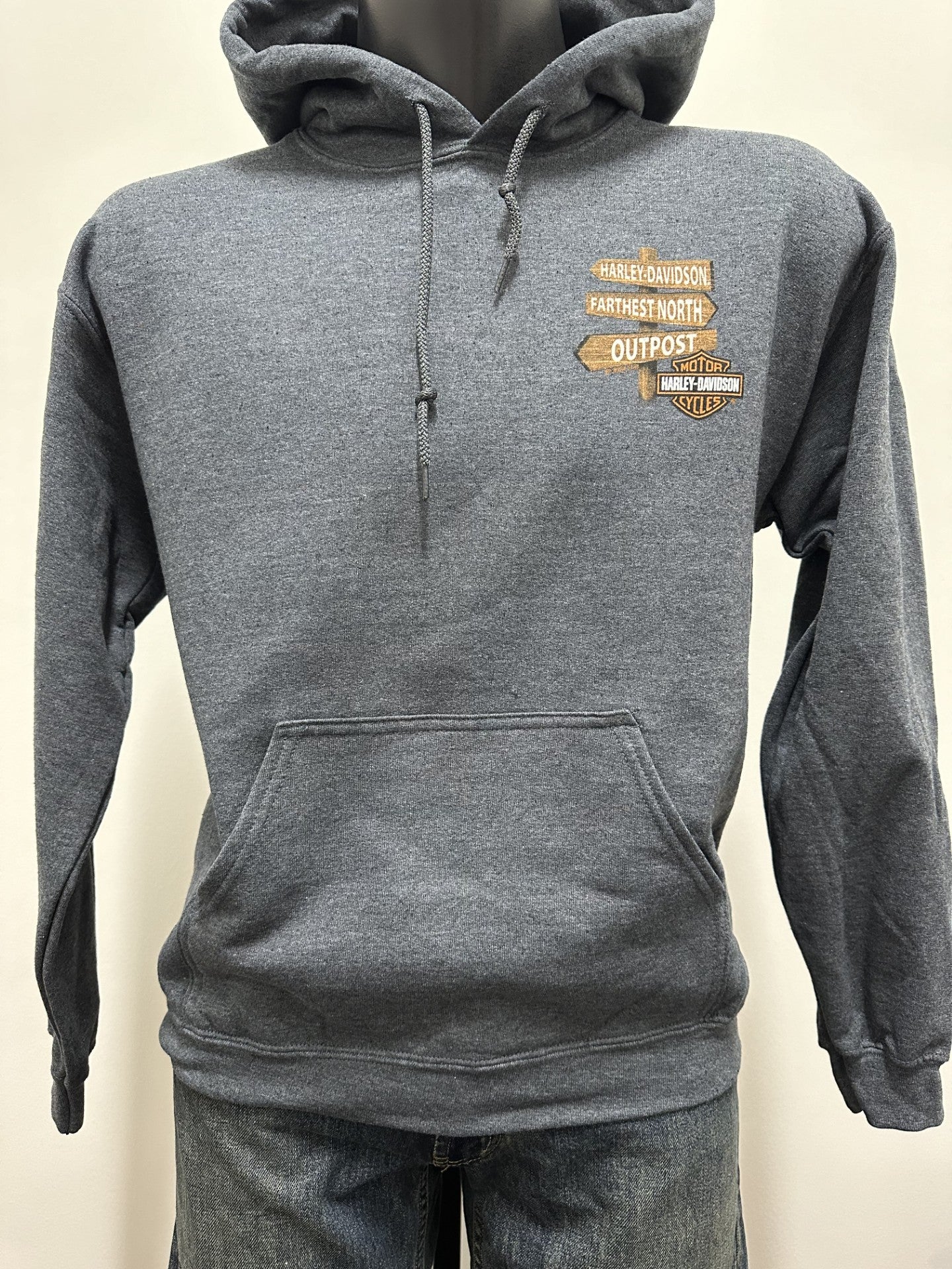 Riding Scene Hoodie