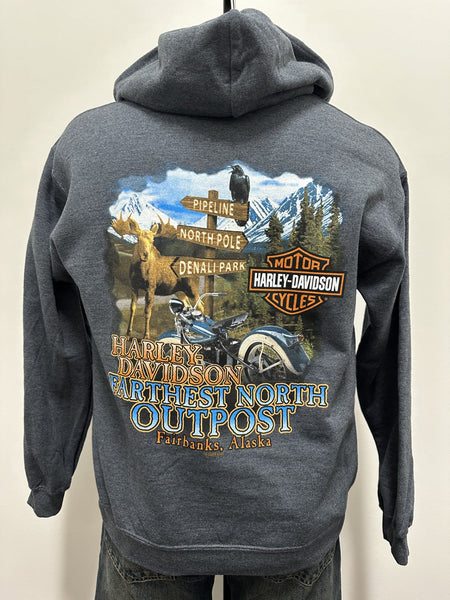 Riding Scene Hoodie