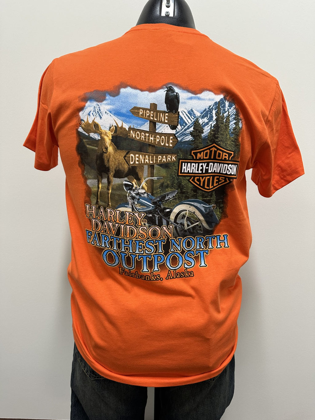 Riding Scene Short Sleeve
